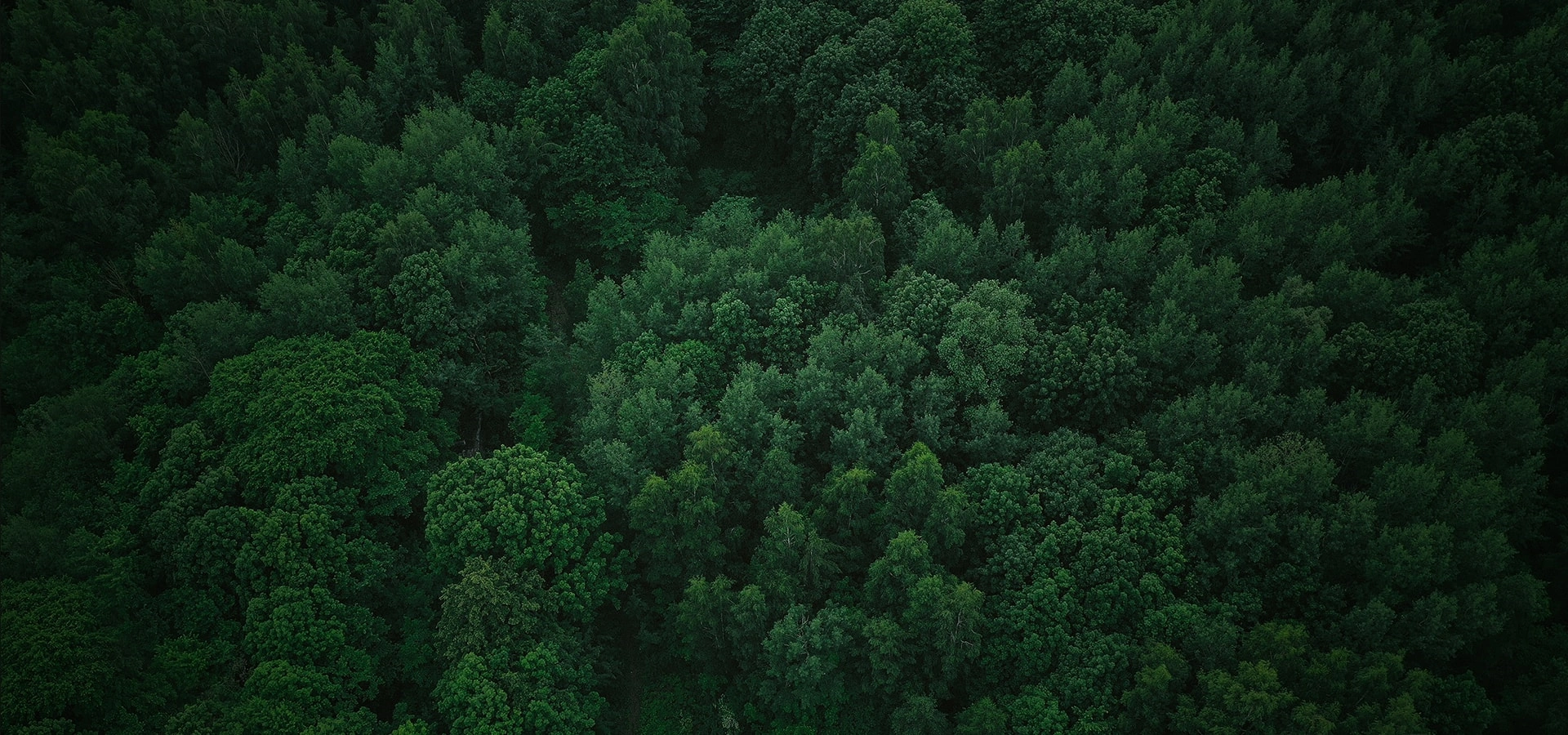 We are renewable materials company Biomass Refinery Platform