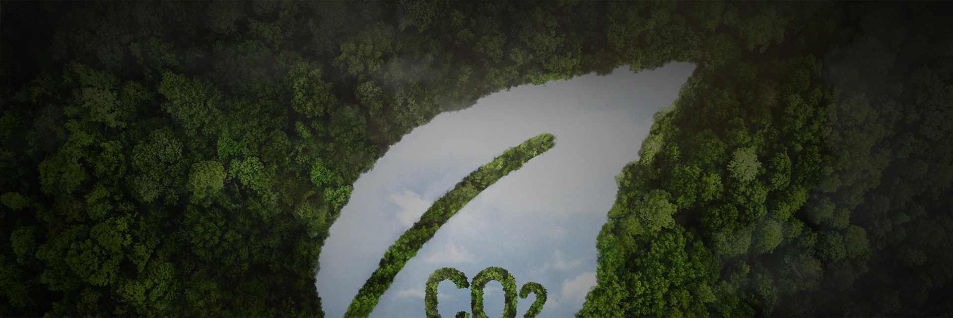 Sustainability