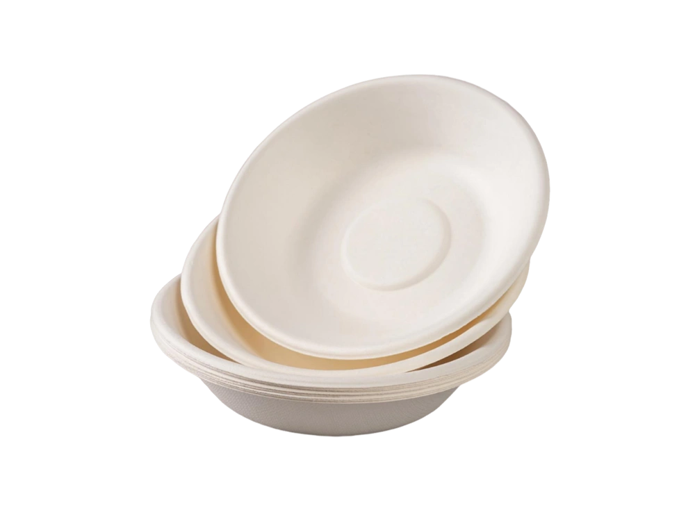 Pulp-molded-tableware-20250125