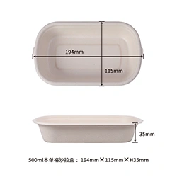 500ml salad box