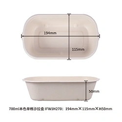 700ml salad box