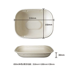 850ml U-shape salad box