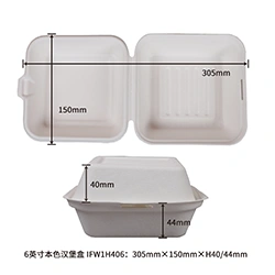 6inch burger lunchbox
