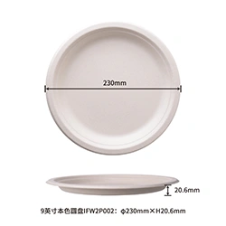 9inch round plate