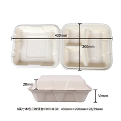 8inch 3compartment lock box