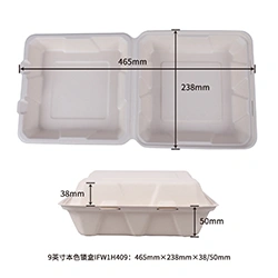 9inch lock box