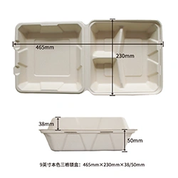 9inch 3compartment lock box