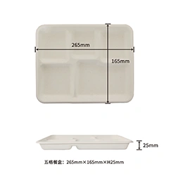 five compartment lunchbox