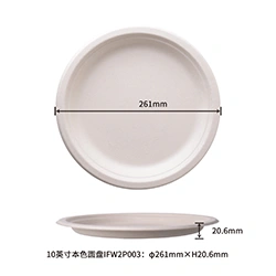 9inch round plate