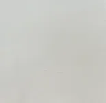 Blank, whiteness/wb 81.70