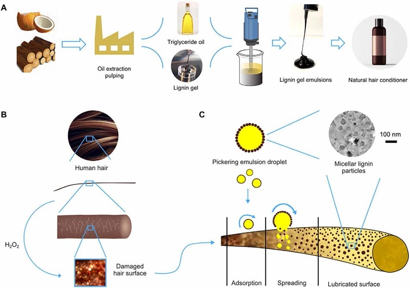 Natural lignin hair conditioner represents another new breakthrough of biomass products over petrochemical-grade products.
